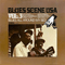 2007 BluesScene USA (Vol. 3: Blues All Around My Bed, 1960)