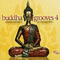 2008 Buddha Grooves 4 (CD 2)