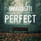 2019 Perfect (Single)