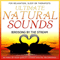 2008 Ultimate Natural Sounds - Birdsong By The Stream