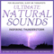 2008 Ultimate Natural Sounds - Inspiring Thunderstorm