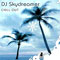 DJ Skydreamer - Chill Out