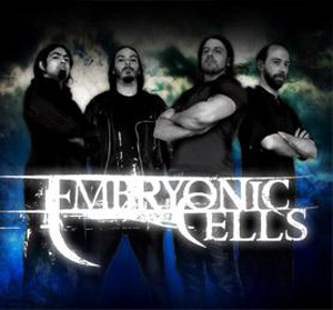 Embryonic Cells
