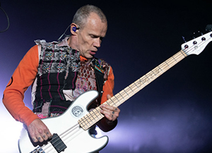 Flea