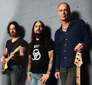 Winery Dogs