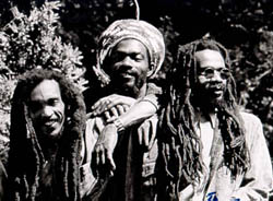 Israel Vibration